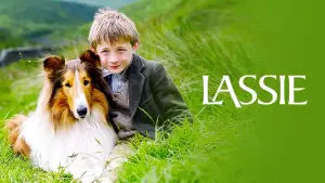 Backdrop to the movie "Lassie" #686452