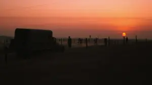 Backdrop to the movie "Cool Hand Luke" #754845