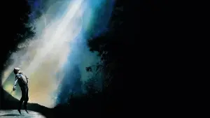 Backdrop to the movie "Fire in the Sky" #276797