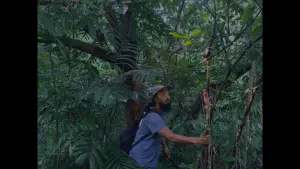 Backdrop to the movie "Old World" #415689