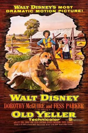 Poster to the movie "Old Yeller" #714610