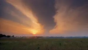 Backdrop to the movie "Angel Heart" #741297