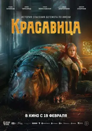 Poster to the movie "Красавица" #537025