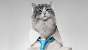 Backdrop to the movie "Nine Lives" #390569