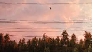 Backdrop to the movie "Spider-Man: No Way Home" #525383