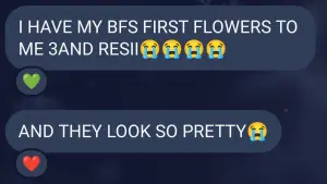 Backdrop to the movie "legos facetime" #369012