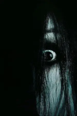 Poster to the movie "The Grudge" #731479