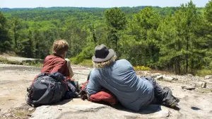 Backdrop to the movie "A Walk in the Woods" #305759