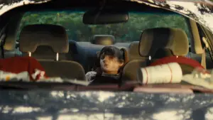 Backdrop to the movie "What Are Grandchildren Made Of?" #778336