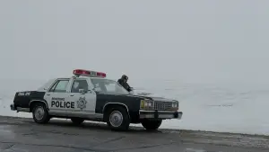 Backdrop to the movie "Fargo" #620721