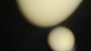 Backdrop to the movie "Early Experiments No. 2 / Looking Inside" #200291