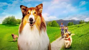 Backdrop to the movie "Lassie: A New Adventure" #760300