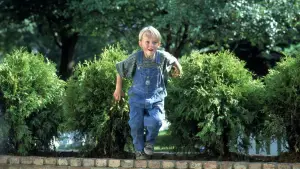 Backdrop to the movie "Dennis the Menace" #805076