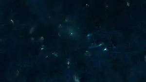 Backdrop to the movie "Decision to Leave" #653655