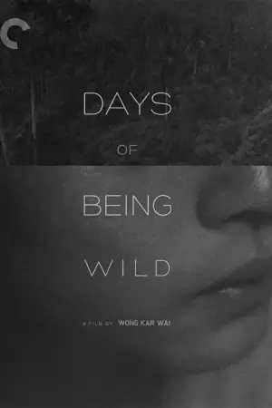 Poster to the movie "Days of Being Wild" #787949