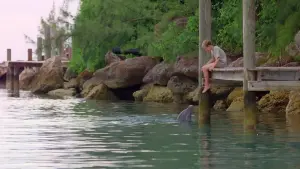 Backdrop to the movie "Dolphin Kick" #501267