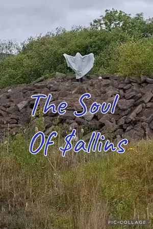 The Soul Of Sallins