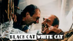 Watch film Black Cat, White Cat | Black cat White cat - Trailer