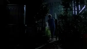 Backdrop to the movie "A Nightmare on Elm Street Part 2: Freddy