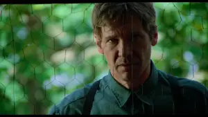 Backdrop to the movie "Witness" #672979