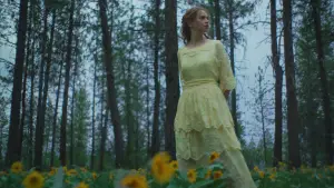 Backdrop to the movie "Train Dreams" #514842