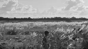 Backdrop to the movie "Pather Panchali" #751183