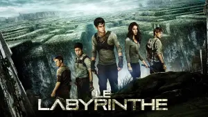 Backdrop to the movie "The Maze Runner" #371131