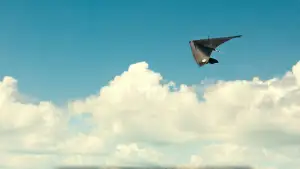 Backdrop to the movie "You Can