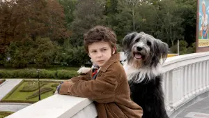 Backdrop to the movie "Каждый мечтает о собаке" #469688