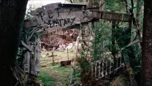 Backdrop to the movie "Pet Sematary" #276057