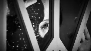 Backdrop to the movie "Cobweb" #349979