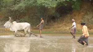 Backdrop to the movie "Bison Kaalamaadan" #786344