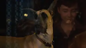 Backdrop to the movie "Marmaduke" #616777