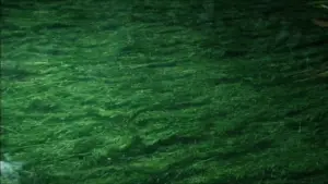 Backdrop to the movie "Solaris" #731556