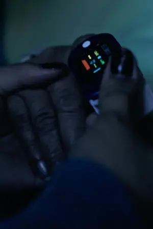 Poster to the movie "The Meat" #200562