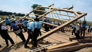 Backdrop to the movie "Witness" #241108