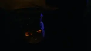 Backdrop to the movie "Prom Night" #705068