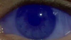 Backdrop to the movie "Dune" #528843