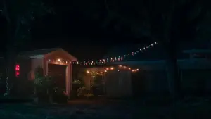 Backdrop to the movie "Lisa Frankenstein" #190551