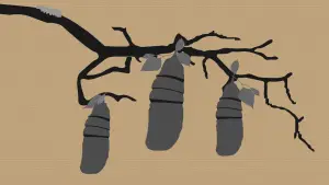 Backdrop to the movie "Reel #1: Surfing with Butterflies" #773463