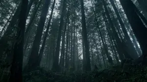 Backdrop to the movie "The Revenant" #516968