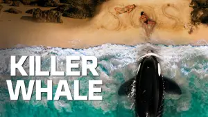 Killer Whale