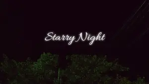 Backdrop to the movie "Starry Night" #745019