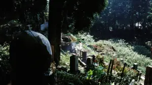 Backdrop to the movie "Lady Snowblood" #890288
