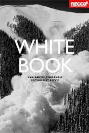 Movie poster "Whitebook"