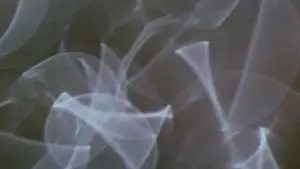 Backdrop to the movie "Comingled Containers" #706787