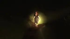 Backdrop to the movie "Inland Empire" #713694