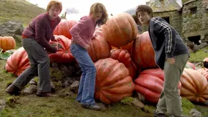 Backdrop to the movie "Harry Potter and the Prisoner of Azkaban" #487056