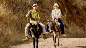 Backdrop to the movie "Missing the Boat" #536622