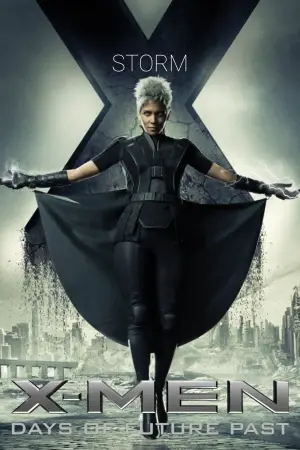 Poster to the movie "X-Men: Days of Future Past" #574378